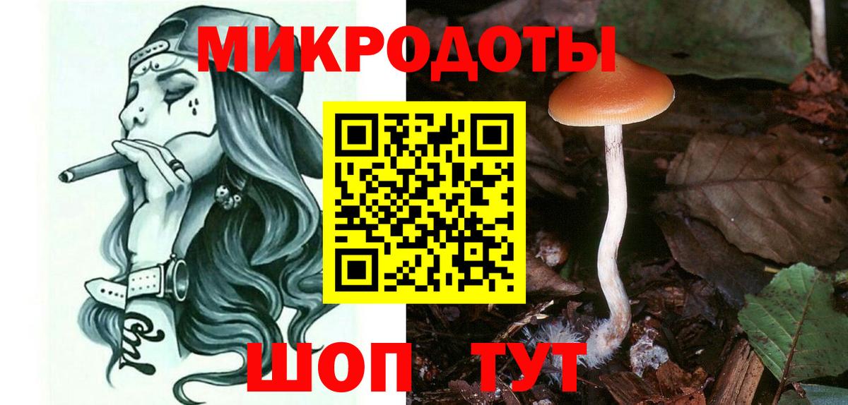 Псилоцибиновые грибы Psilocybine cubensis Ухта