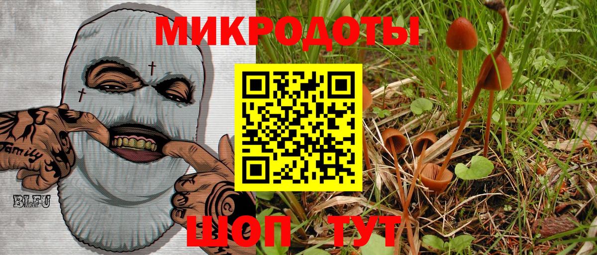 Псилоцибиновые грибы Psilocybine cubensis  Вход с VPN  Ухта 